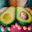 avokado