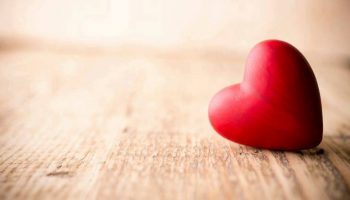 love-syrce