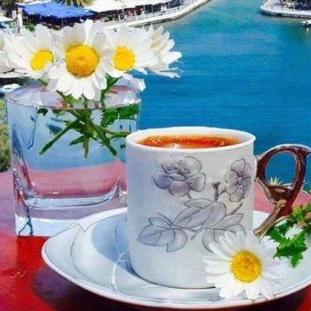 coffee
