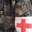 voinik