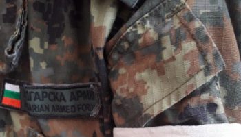 voinik
