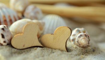love-syrce