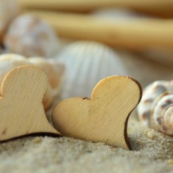 love-syrce