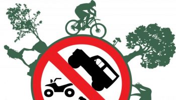mobilnost