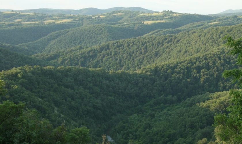 strandja-planina