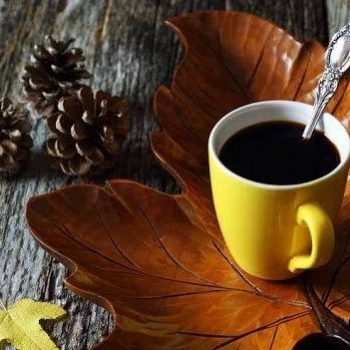 coffee