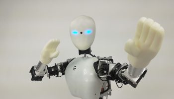 robot