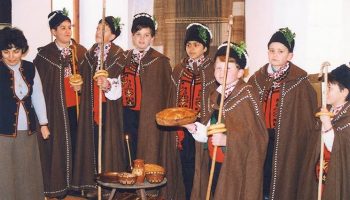koledari