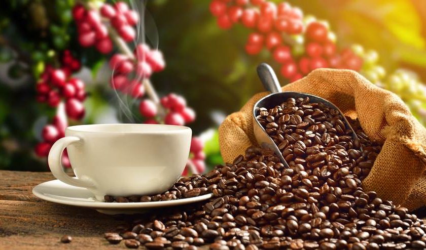 coffee