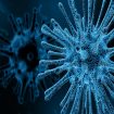 virus