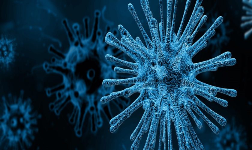 virus