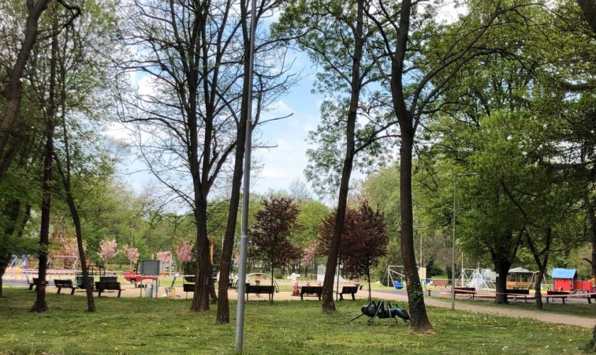 park qmbol