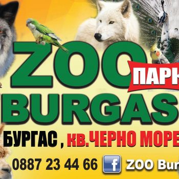 zoo-burgas