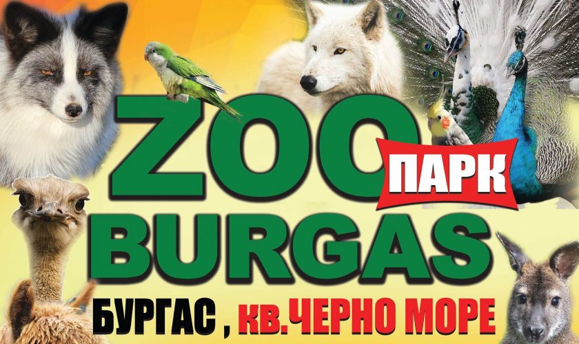 zoo-burgas