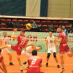 voleibol