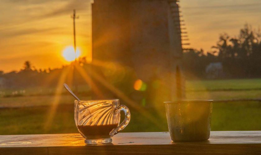 coffee