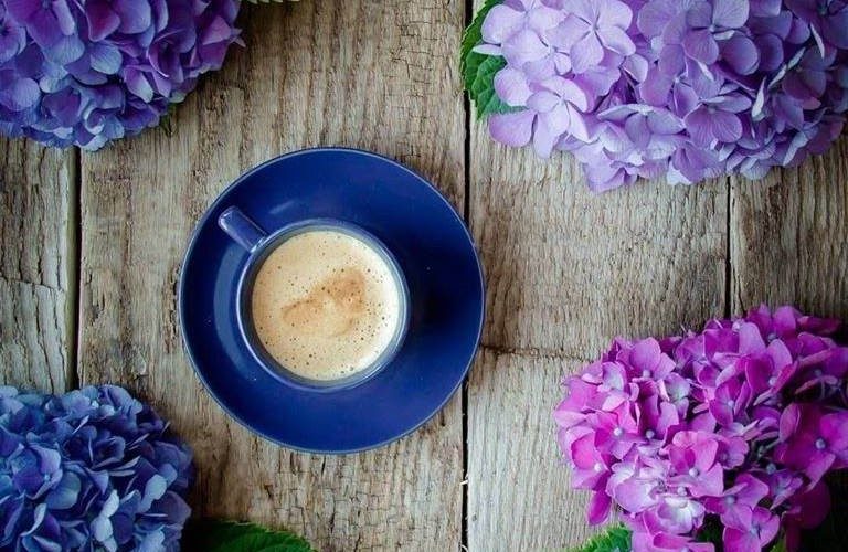coffee