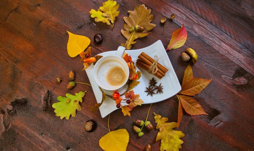 coffee