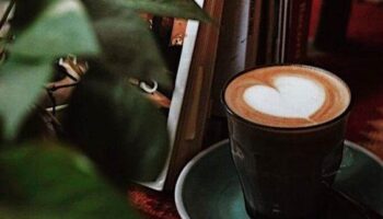 coffee