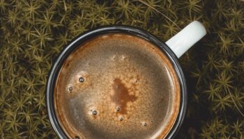 coffee