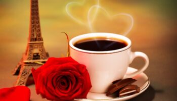 coffee