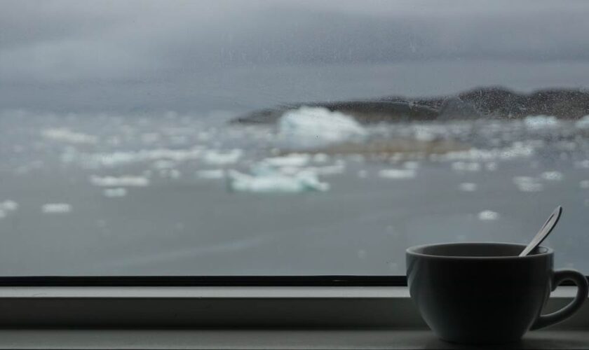 coffee