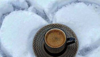 coffee
