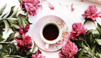 coffee