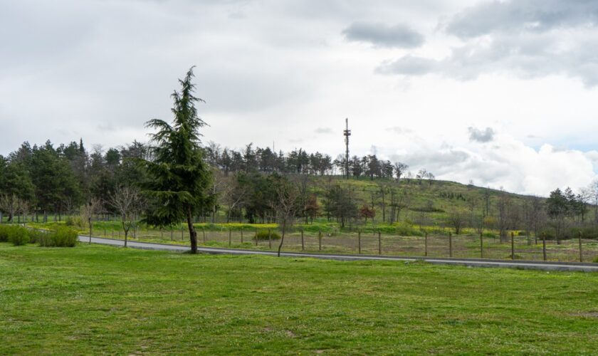park Borovec