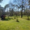 park mineralni bani burgas