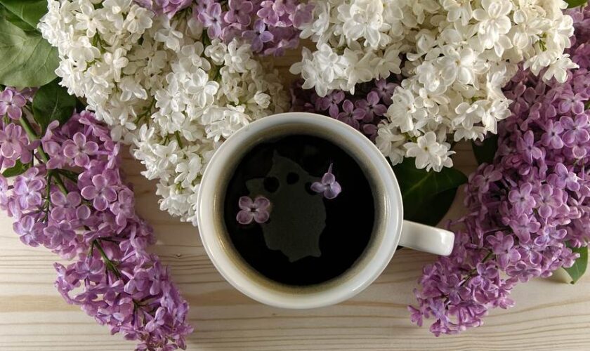 coffee