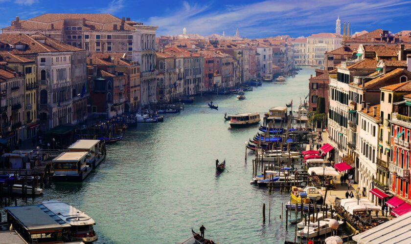 veneciq