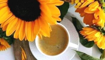coffee (1)