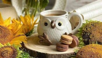 coffee (2)