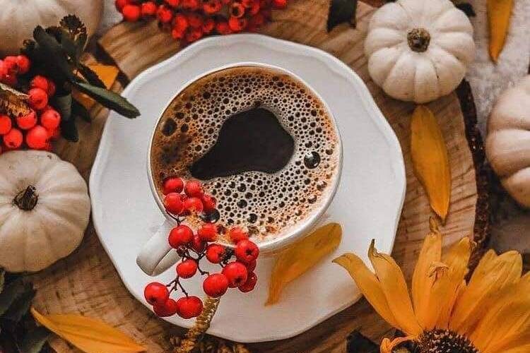 coffee