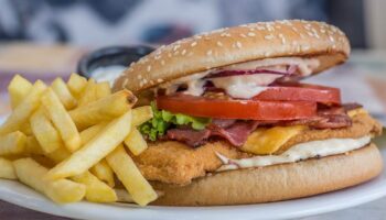 hamburger