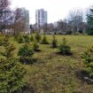 park ezero-burgas