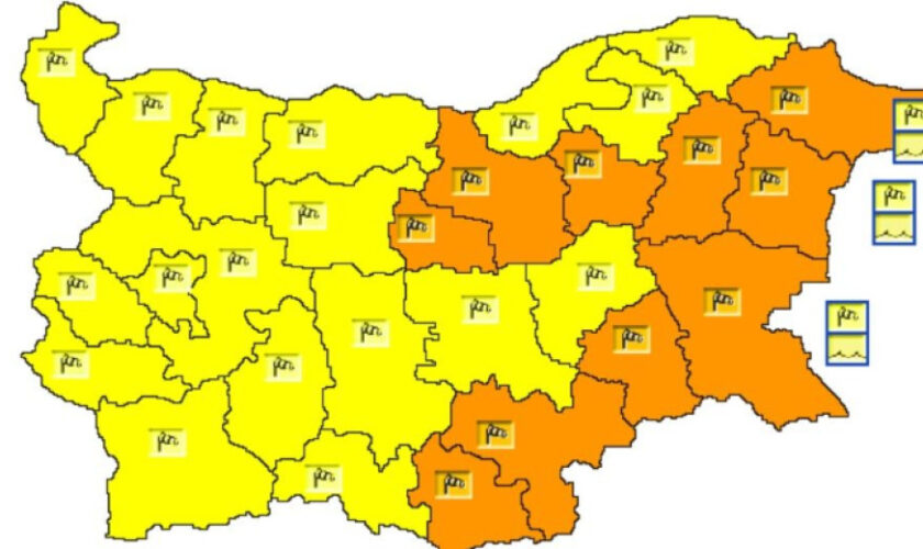 55