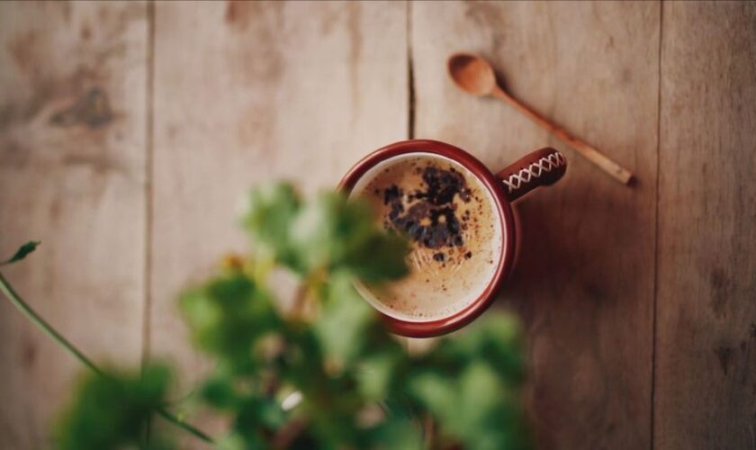 coffee
