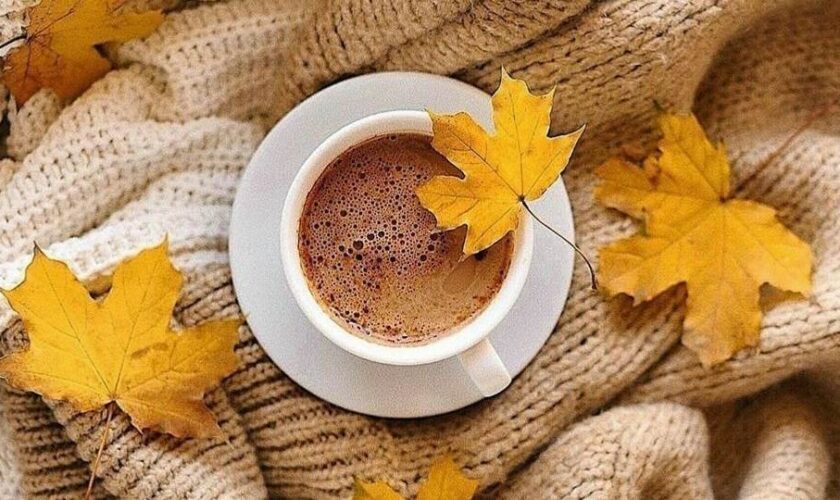 coffee