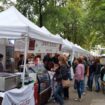 festival-na-stote-vojvodi