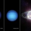 neptun