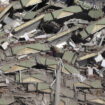 earthquake