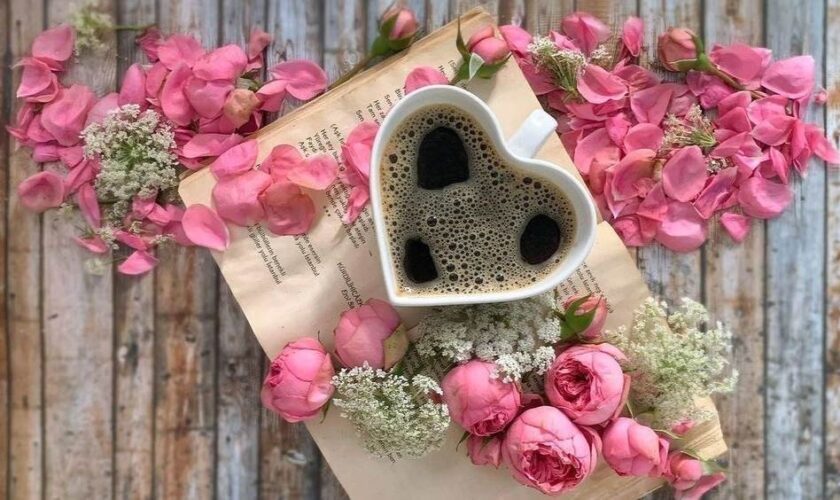 coffee