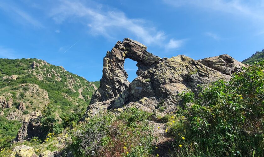 Halkata