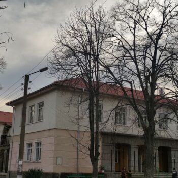 mladovo