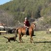 3IMG_7395