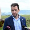 georgi stoev